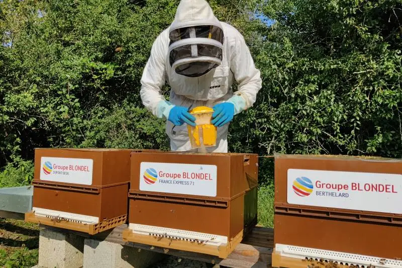 Les abeilles à l'honneur !!